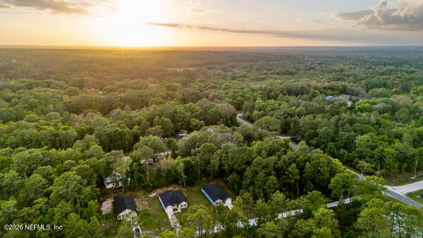 407 Rustic Road Satsuma, FL 32189 - Photo 50 of 55 an aerial view of house with yard and mountain view in back