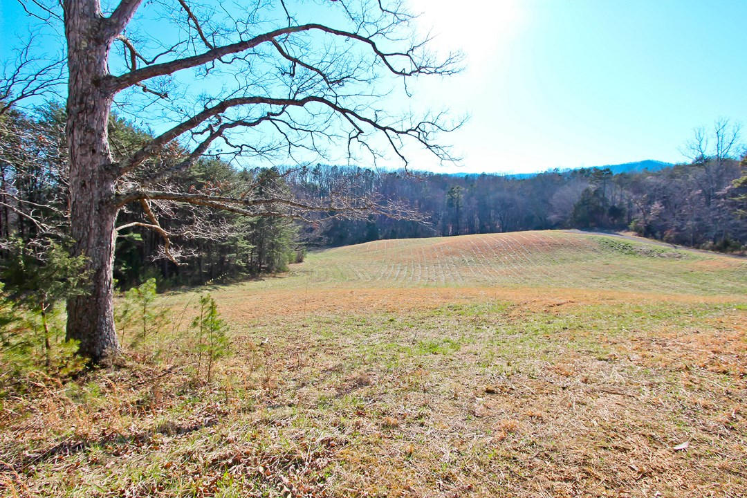 20.32-ac Carmack Road Newport, TN 37821 - Photo 1 of 40 IMG_6623