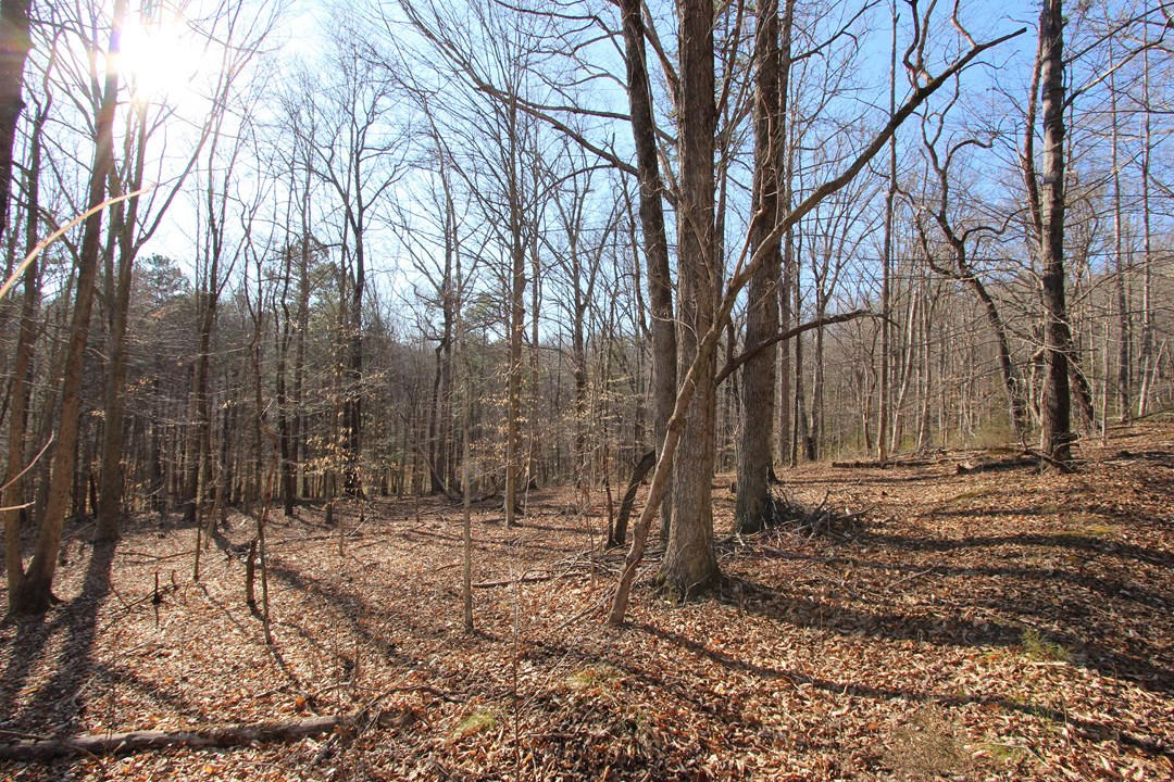 20.32-ac Carmack Road Newport, TN 37821 - Photo 29 of 40 IMG_6644