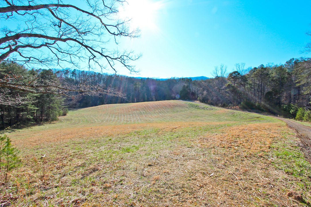 20.32-ac Carmack Road Newport, TN 37821 - Photo 4 of 40 IMG_6621