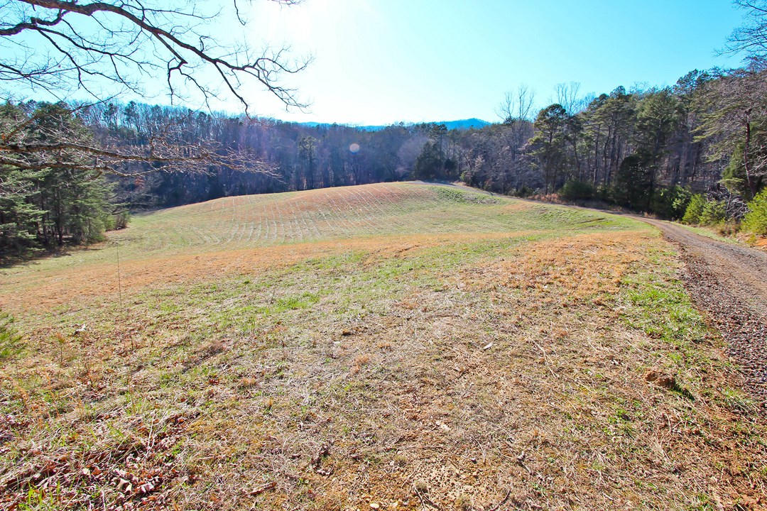 20.32-ac Carmack Road Newport, TN 37821 - Photo 5 of 40 IMG_6622