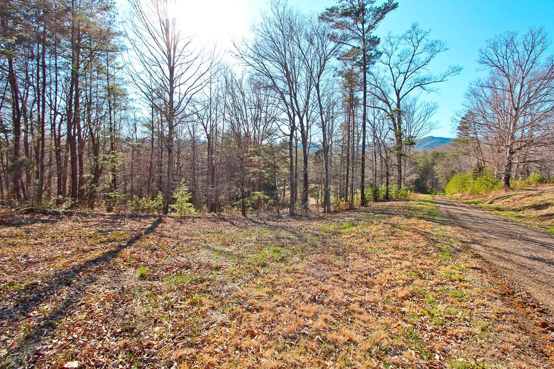 20.32-ac Carmack Road Newport, TN 37821 - Photo 6 of 40 IMG_6619