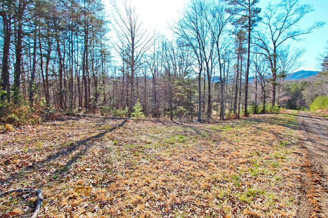 20.32-ac Carmack Road Newport, TN 37821 - Photo 7 of 40 IMG_6620