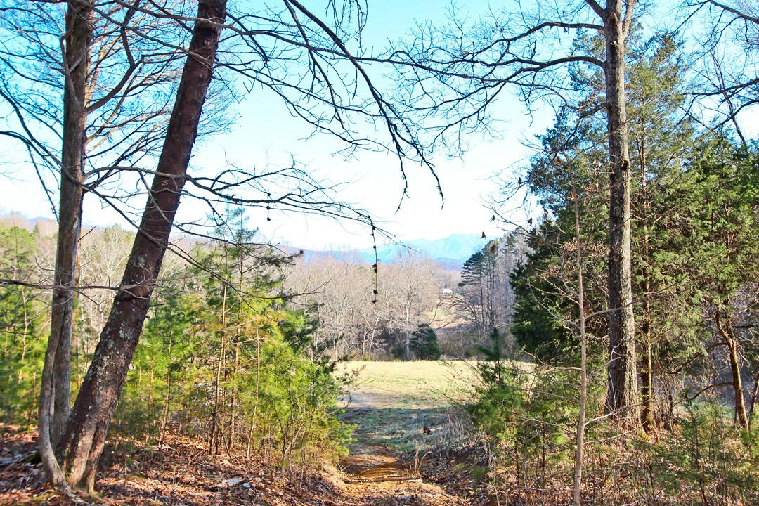 20.32-ac Carmack Road Newport, TN 37821 - Photo 8 of 40 IMG_6659