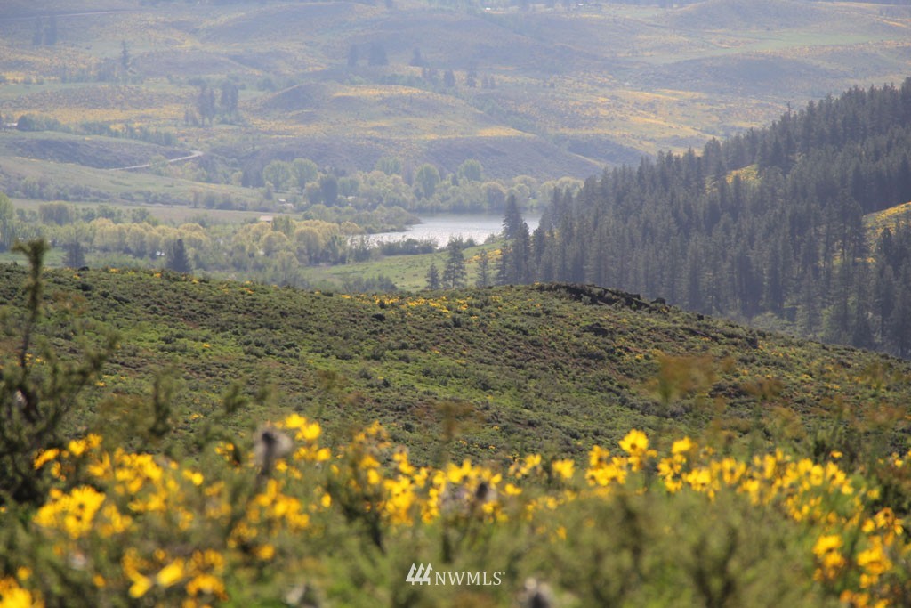 108 D Rendezvous Road Winthrop, WA 98862 - Photo 3 of 18 Gallery Image 3