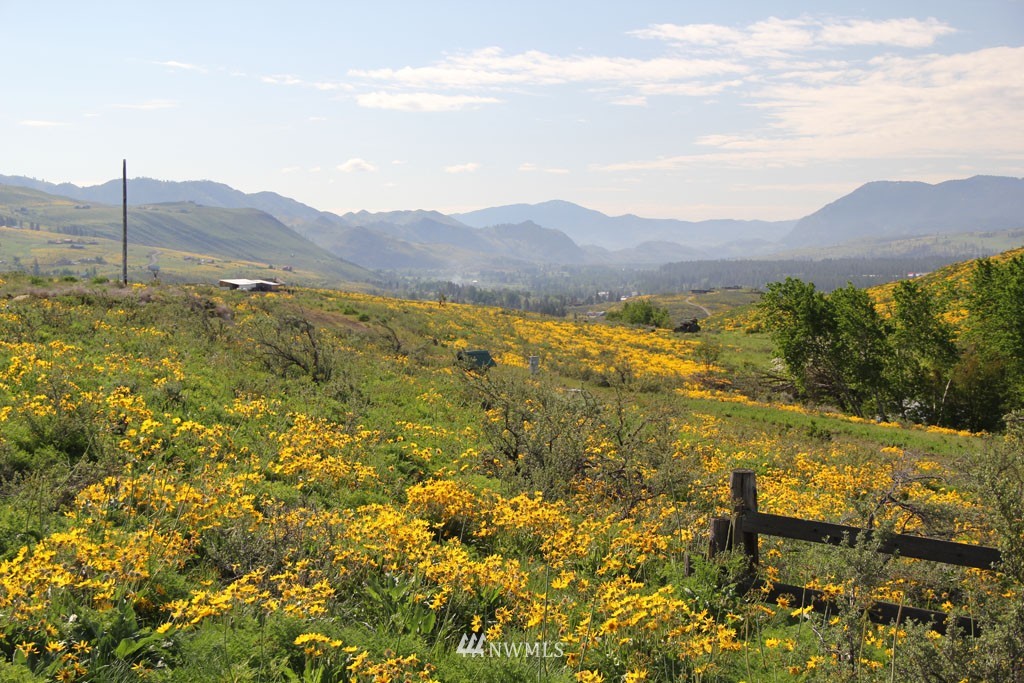 108 D Rendezvous Road Winthrop, WA 98862 - Photo 4 of 18 Gallery Image 4