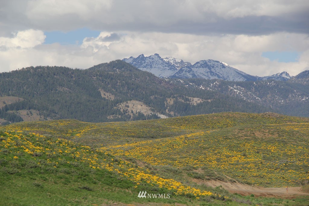 108 D Rendezvous Road Winthrop, WA 98862 - Photo 5 of 18 Gallery Image 5