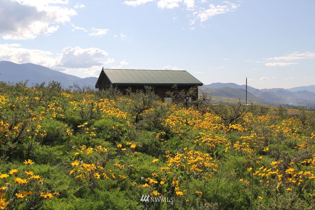108 D Rendezvous Road Winthrop, WA 98862 - Photo 6 of 18 Gallery Image 6
