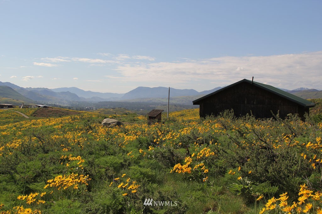 108 D Rendezvous Road Winthrop, WA 98862 - Photo 7 of 18 Gallery Image 7