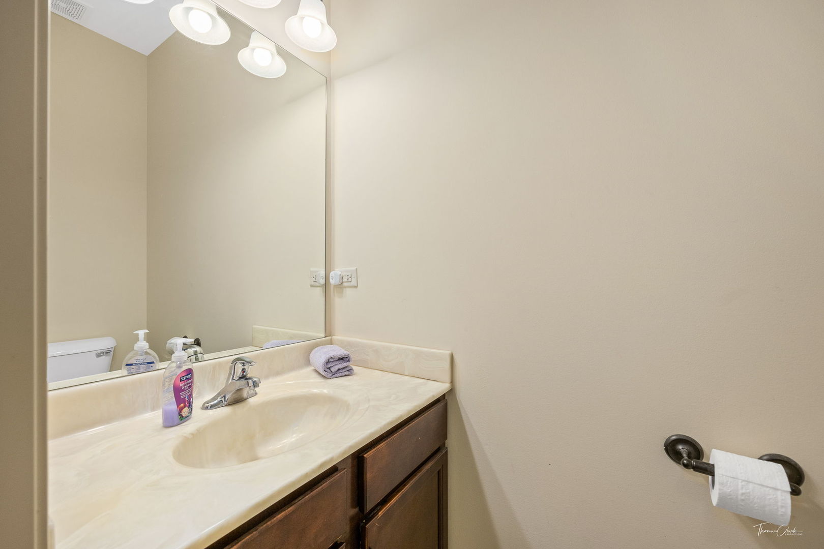 8022 West Offner Road Peotone, IL 60468 - Photo 25 of 42 a bathroom with a sink and a mirror
