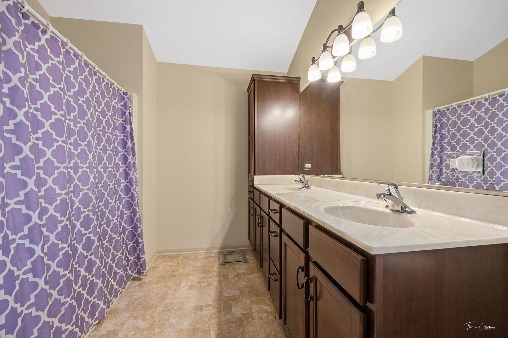 8022 West Offner Road Peotone, IL 60468 - Photo 28 of 42 a bathroom with a sink and a mirror