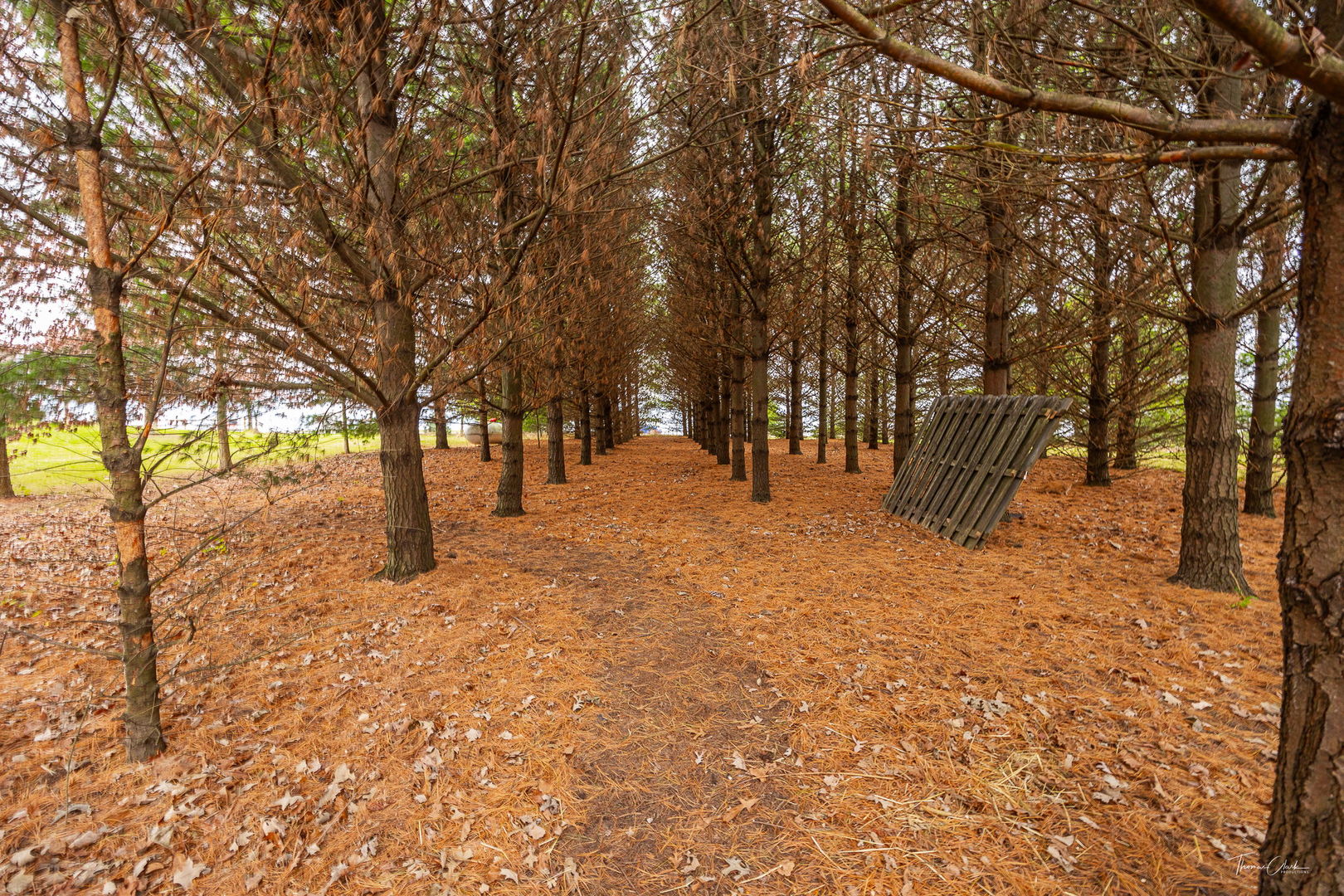 8022 West Offner Road Peotone, IL 60468 - Photo 4 of 42 a view of outdoor space with trees