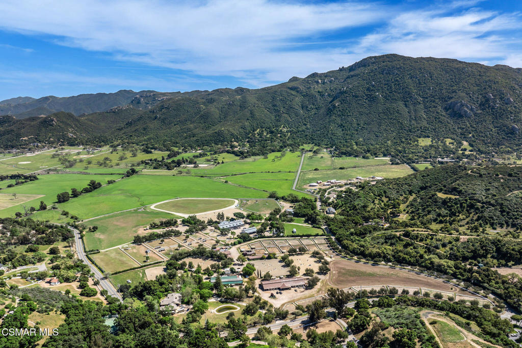 a view of a lush green hillside and houses