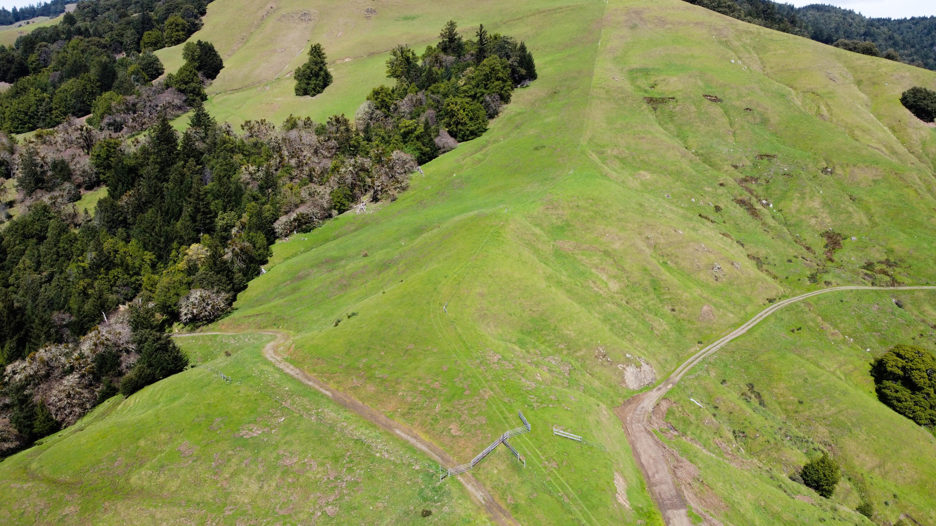 4001 Conklin Creek Road Ferndale, CA 95536 - Photo 101 of 125