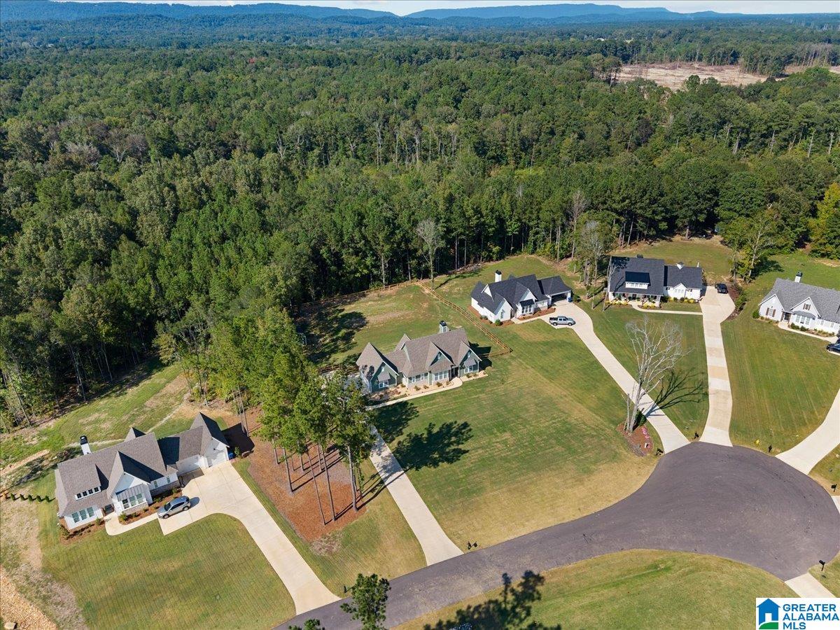 425 Stonewood Trail Springville, AL 35146 - Photo 35 of 38
