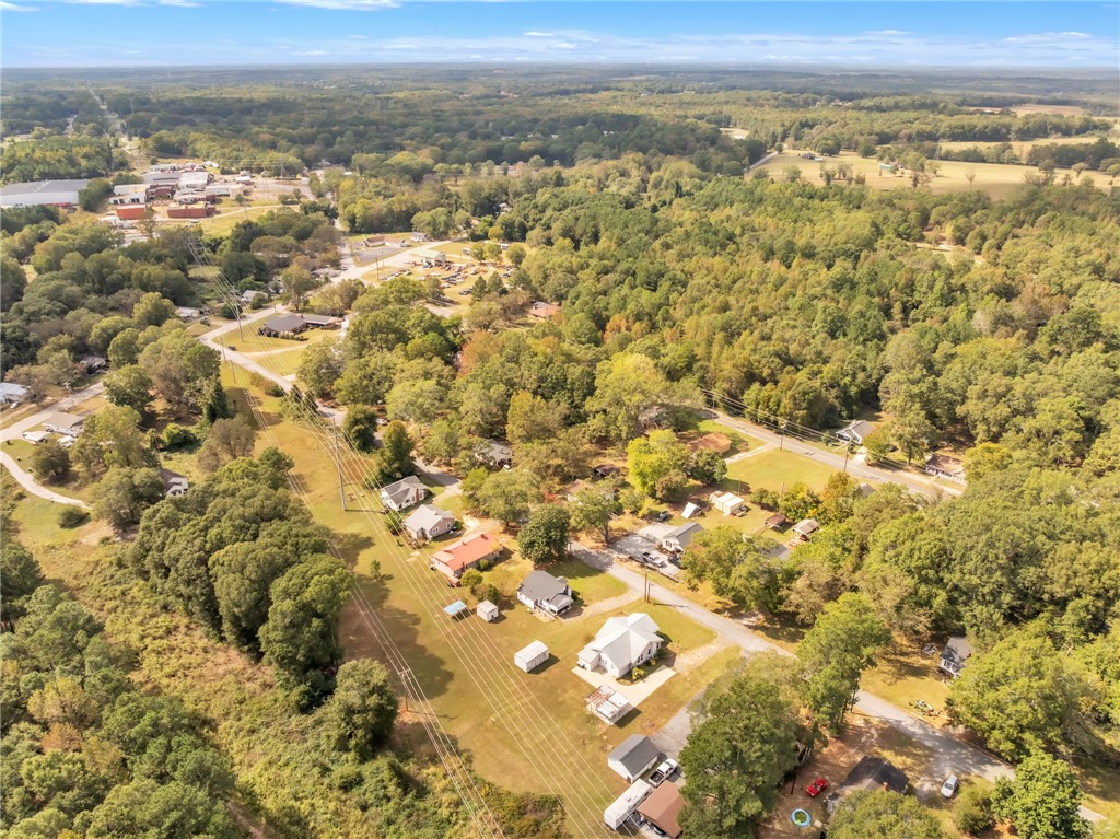 121 Ellison Street Belton, SC 29627 - Photo 28 of 30 Panoramic views of lush landscapes and a serene neighborhood await.