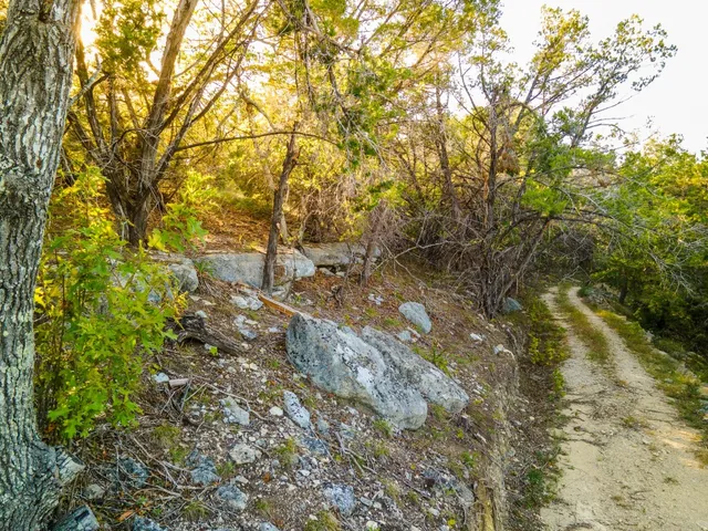 a backyard of a house with lots of trees