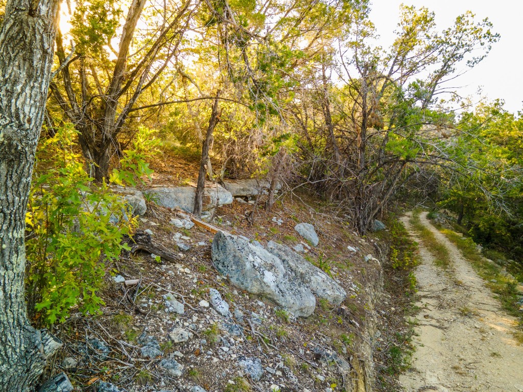 12737 Silver Creek Road Dripping Springs, TX 78620 - Photo 1 of 36 a backyard of a house with lots of trees