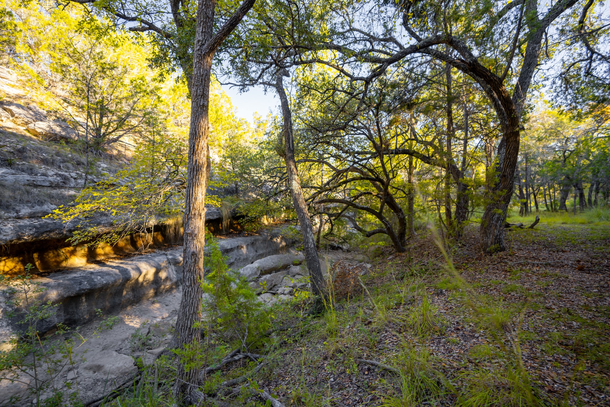 12737 Silver Creek Road Dripping Springs, TX 78620 - Photo 15 of 36 a big yard with lots of green space and house