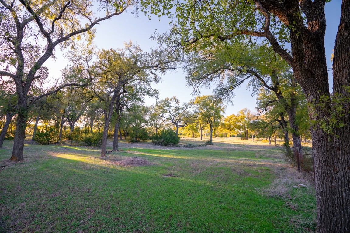12737 Silver Creek Road Dripping Springs, TX 78620 - Photo 17 of 36 a view of outdoor space with green field and trees
