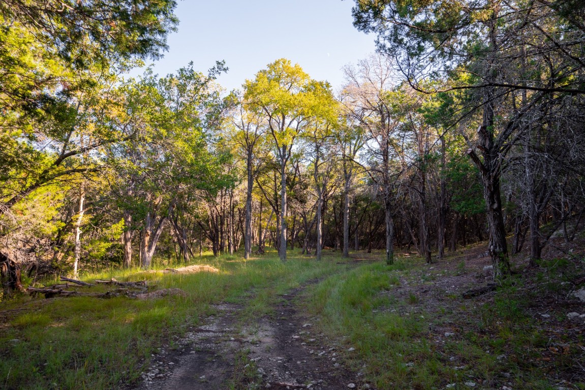 12737 Silver Creek Road Dripping Springs, TX 78620 - Photo 19 of 36 a view of an outdoor space with a lake view