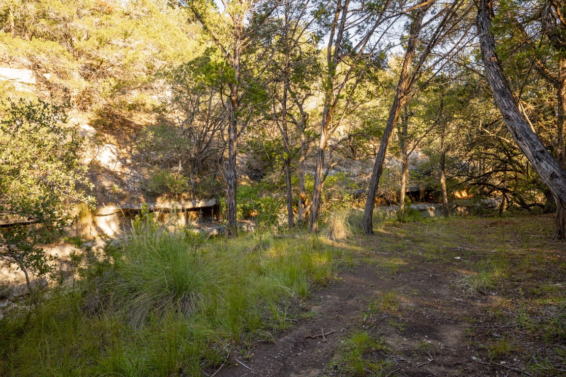 12737 Silver Creek Road Dripping Springs, TX 78620 - Photo 20 of 36 a backyard of a house with lots of green space