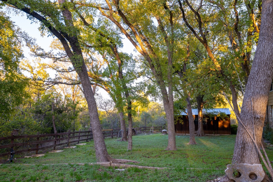 12737 Silver Creek Road Dripping Springs, TX 78620 - Photo 21 of 36 a view of park with trees