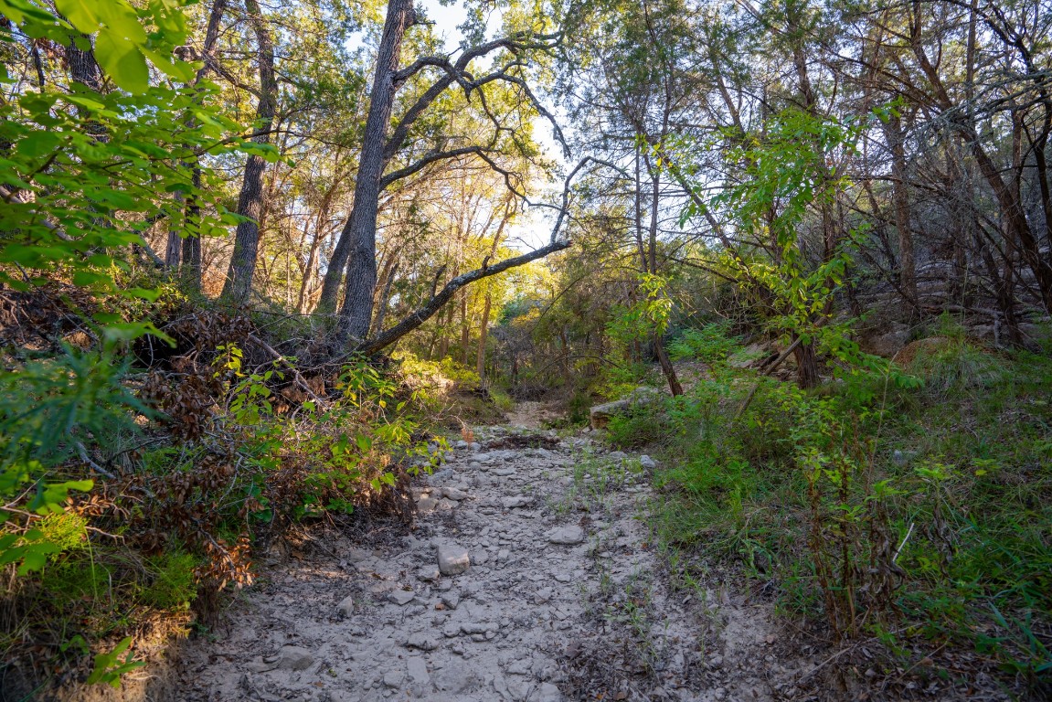 12737 Silver Creek Road Dripping Springs, TX 78620 - Photo 22 of 36 a view of a yard with plants and trees