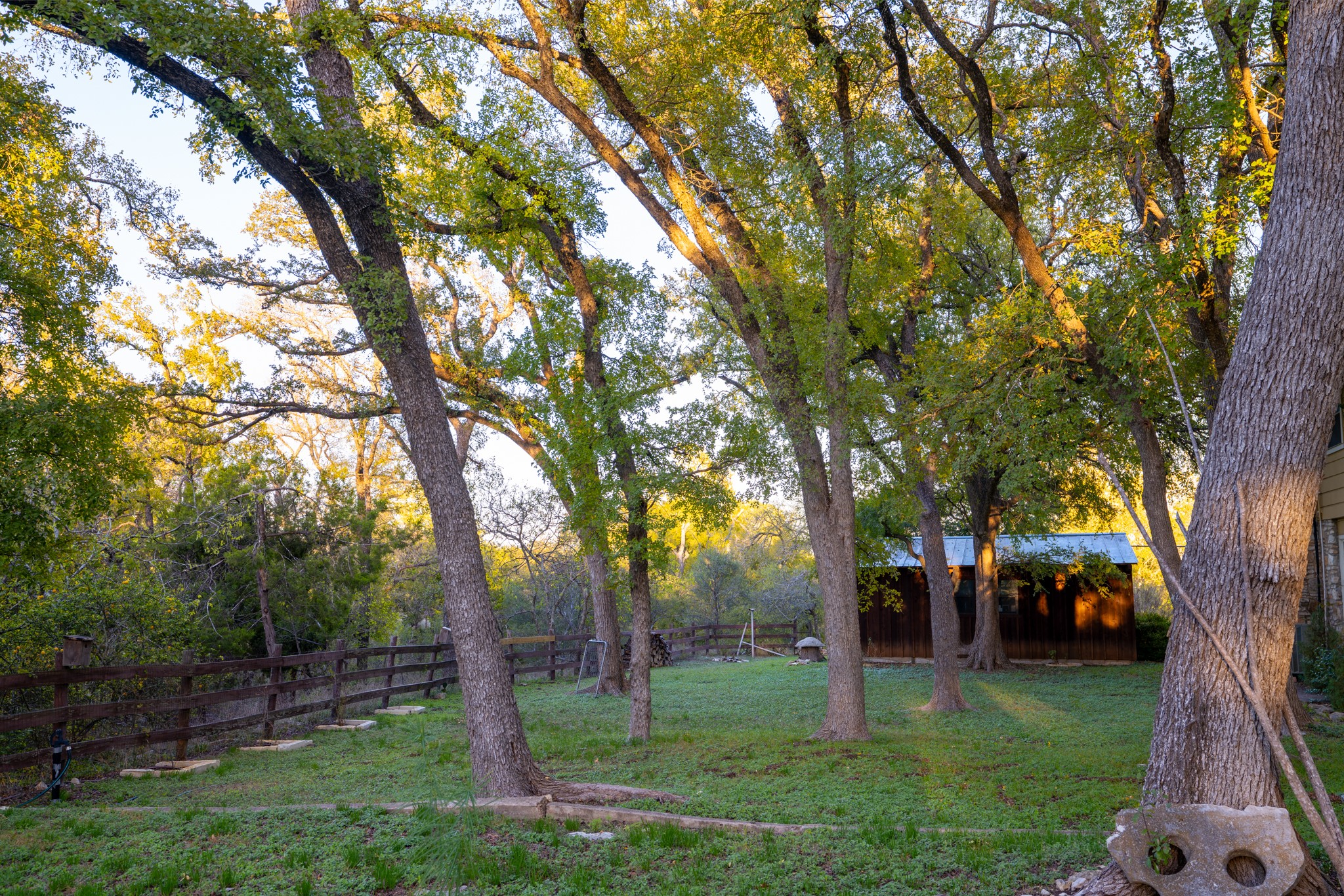 12737 Silver Creek Road Dripping Springs, TX 78620 - Photo 23 of 36 a view of park with trees