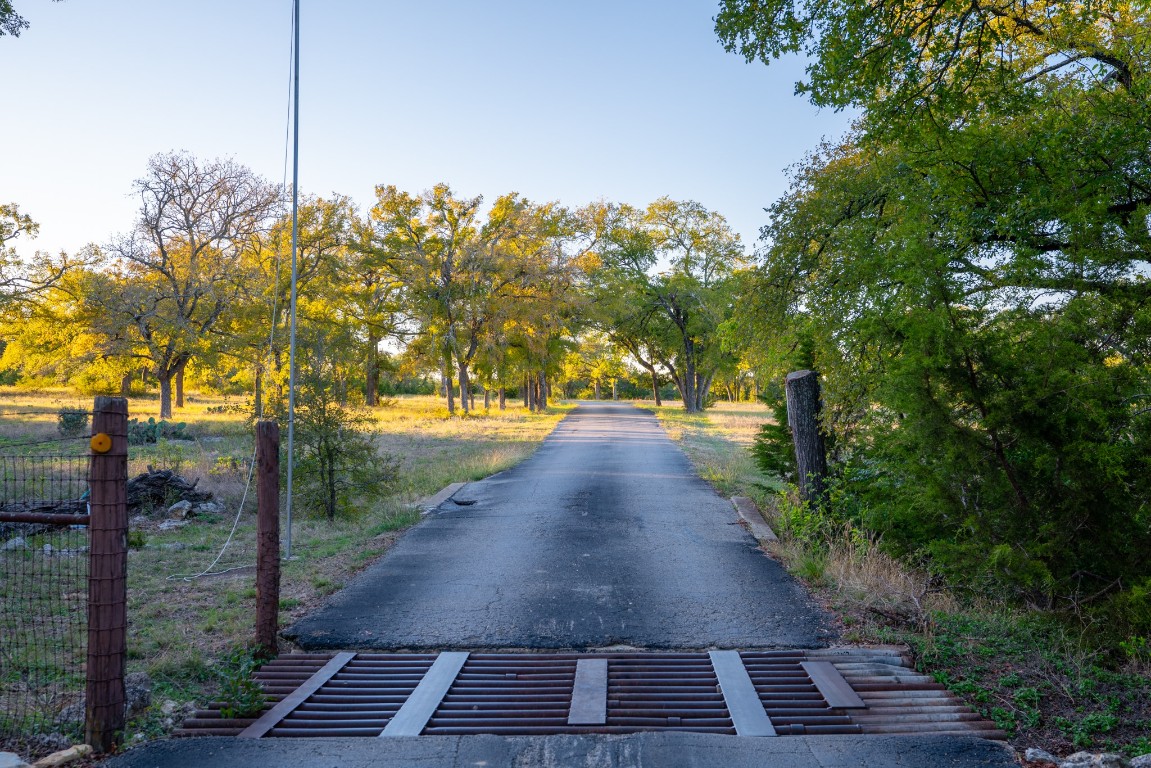 12737 Silver Creek Road Dripping Springs, TX 78620 - Photo 23 of 36 a view of a yard