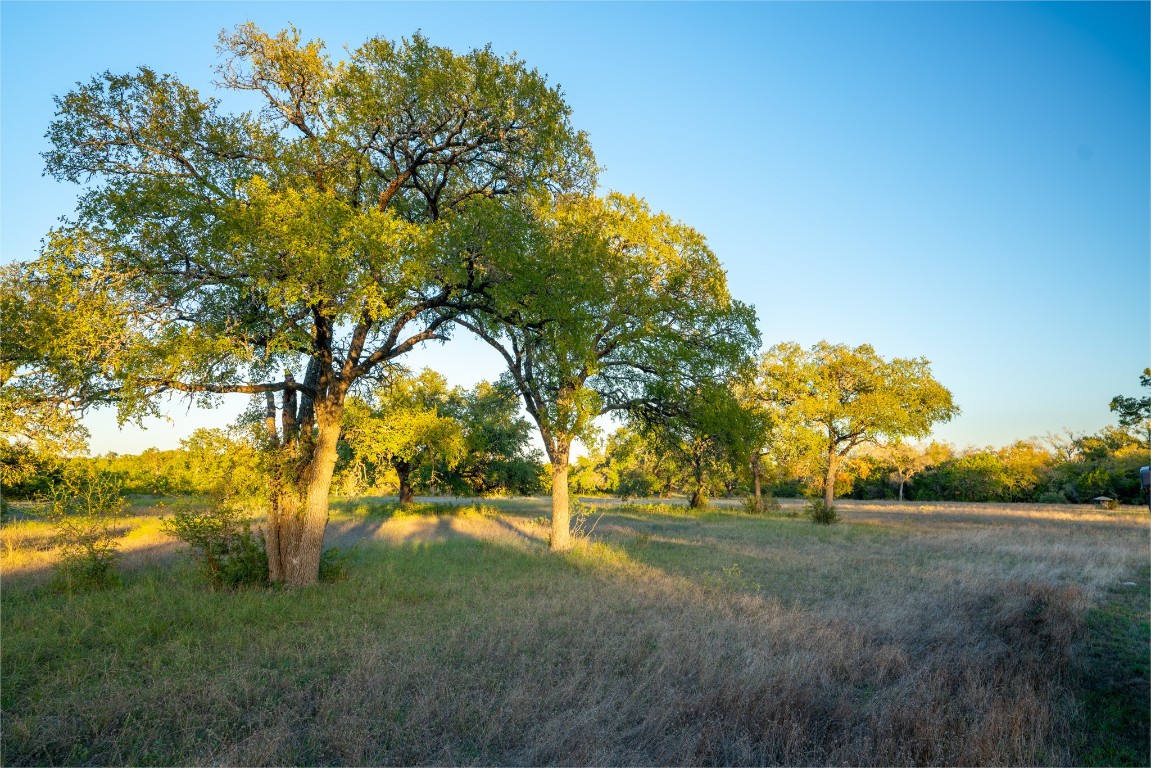 12737 Silver Creek Road Dripping Springs, TX 78620 - Photo 24 of 36 a view of yard with green space