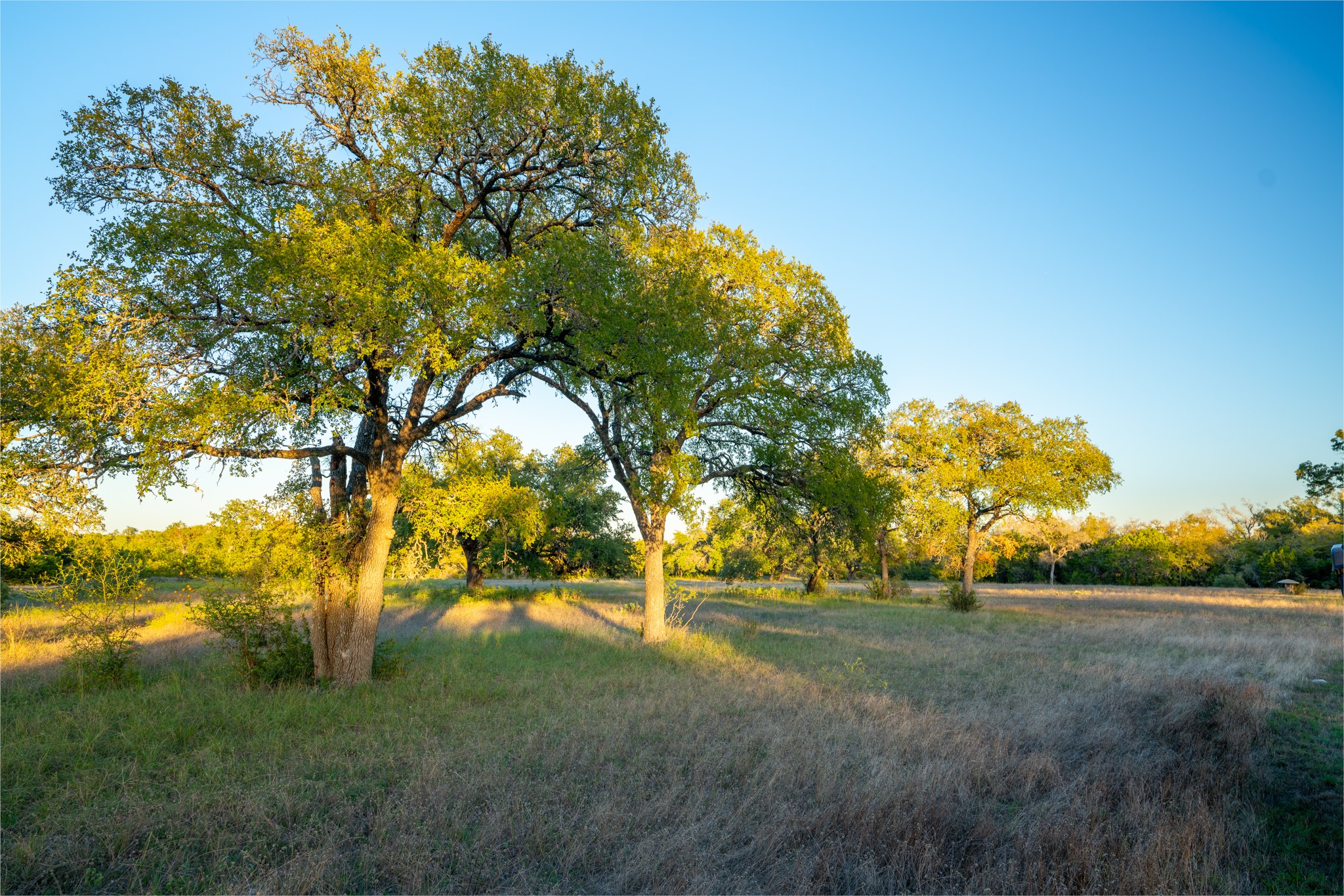 12737 Silver Creek Road Dripping Springs, TX 78620 - Photo 25 of 36 a view of yard with green space