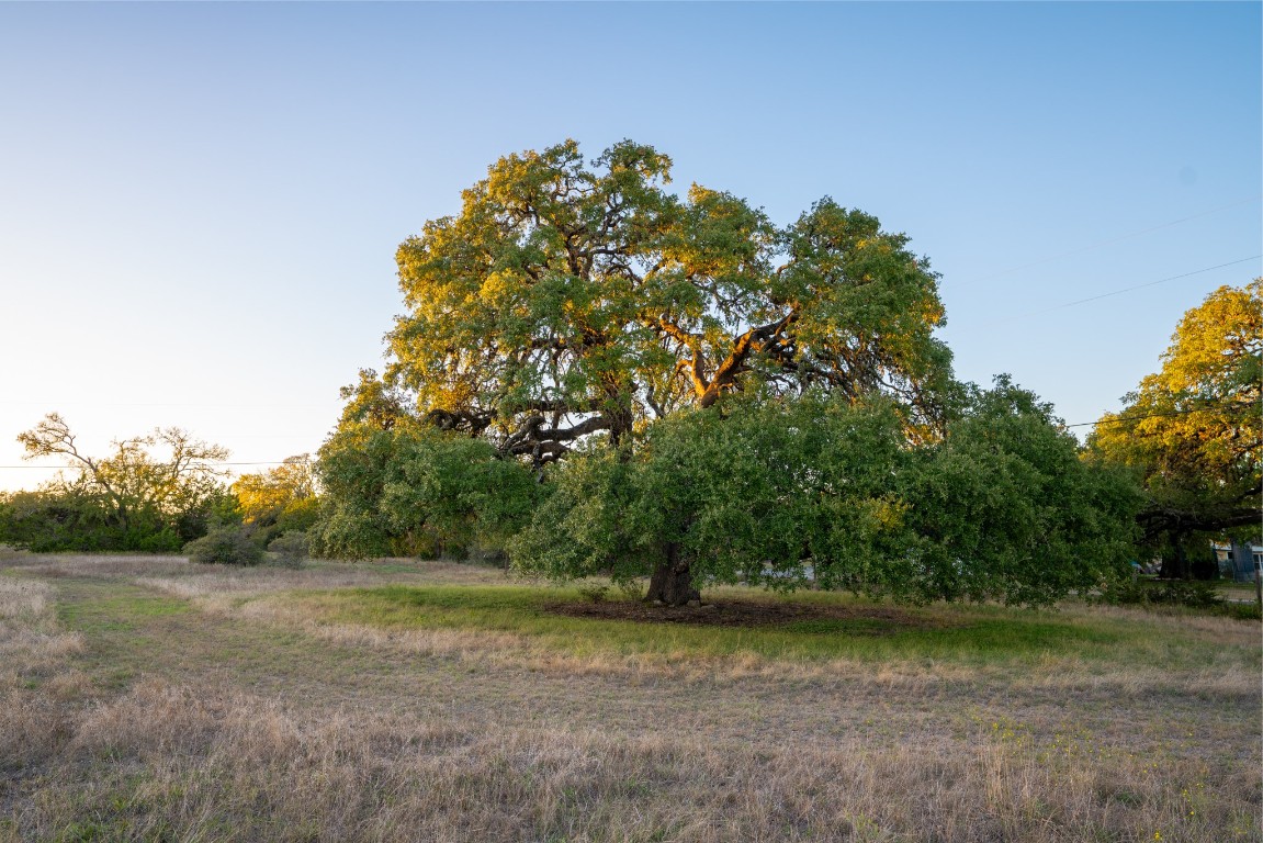 12737 Silver Creek Road Dripping Springs, TX 78620 - Photo 26 of 36 a view of a field