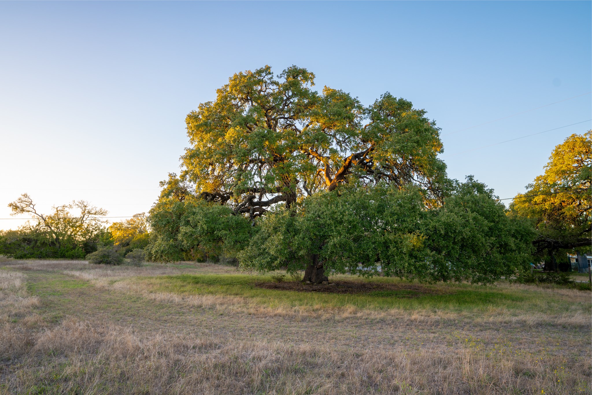 12737 Silver Creek Road Dripping Springs, TX 78620 - Photo 27 of 36 a view of a field