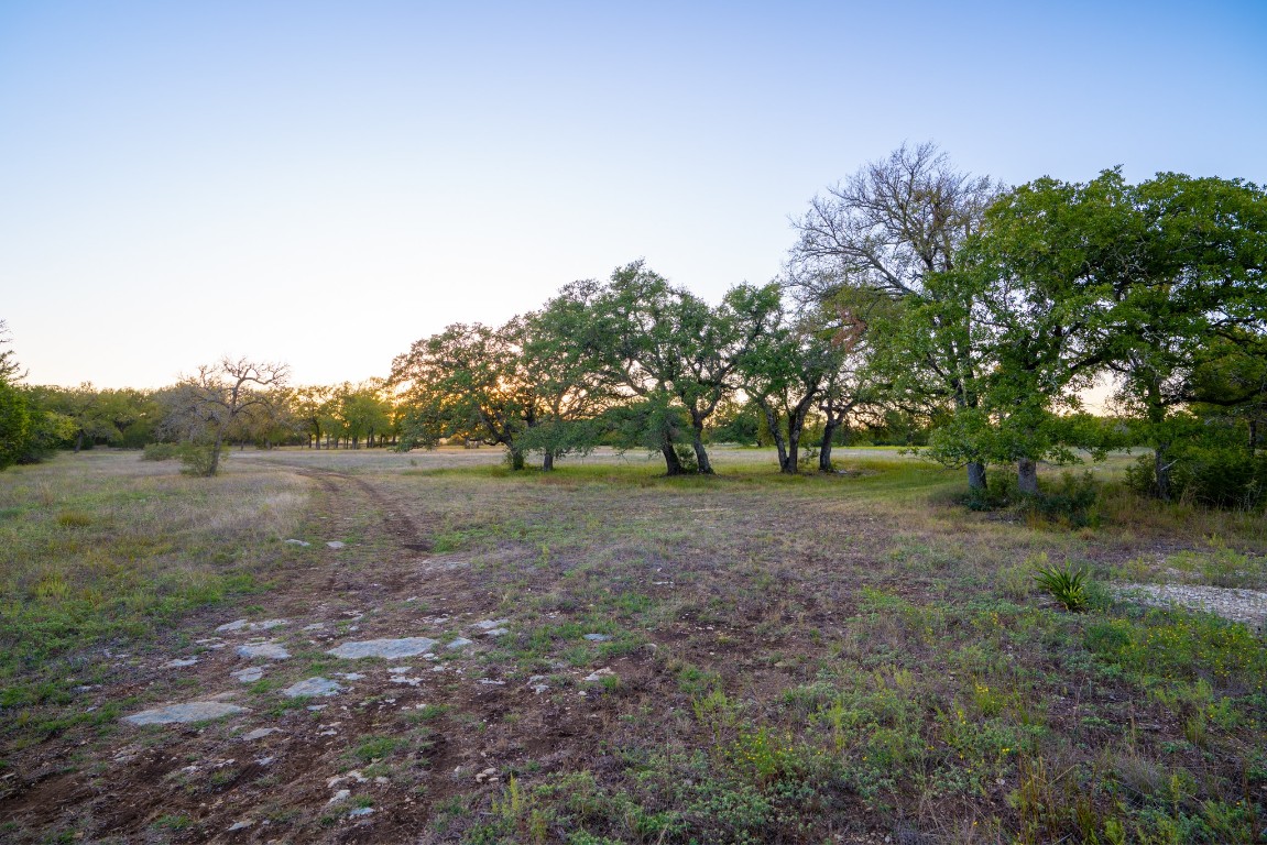 12737 Silver Creek Road Dripping Springs, TX 78620 - Photo 29 of 36 a view of an outdoor space with trees all around