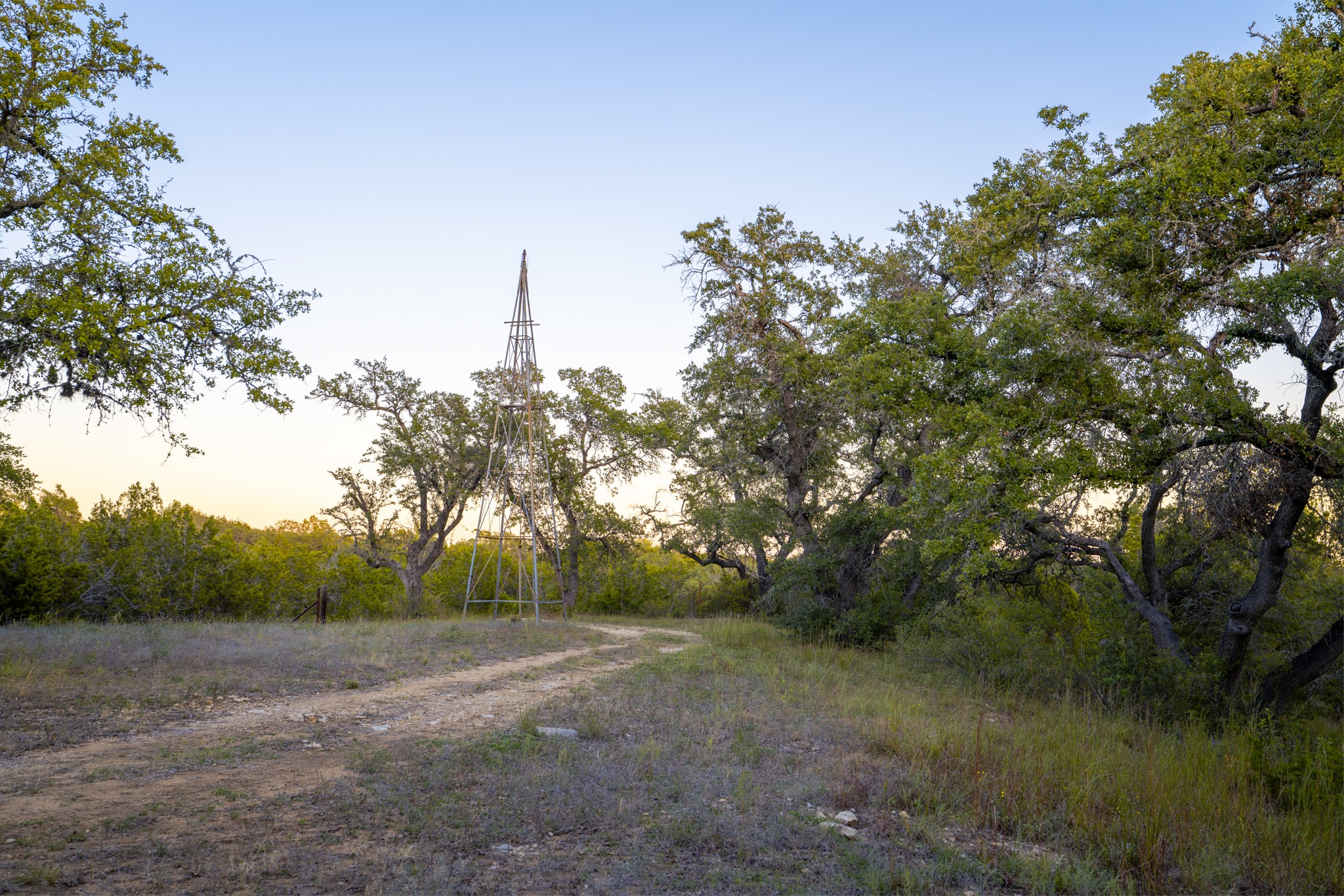 12737 Silver Creek Road Dripping Springs, TX 78620 - Photo 30 of 36 a big yard with lots of green space and plants