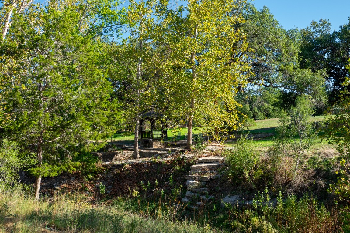 12737 Silver Creek Road Dripping Springs, TX 78620 - Photo 32 of 36 a view of outdoor space and trees