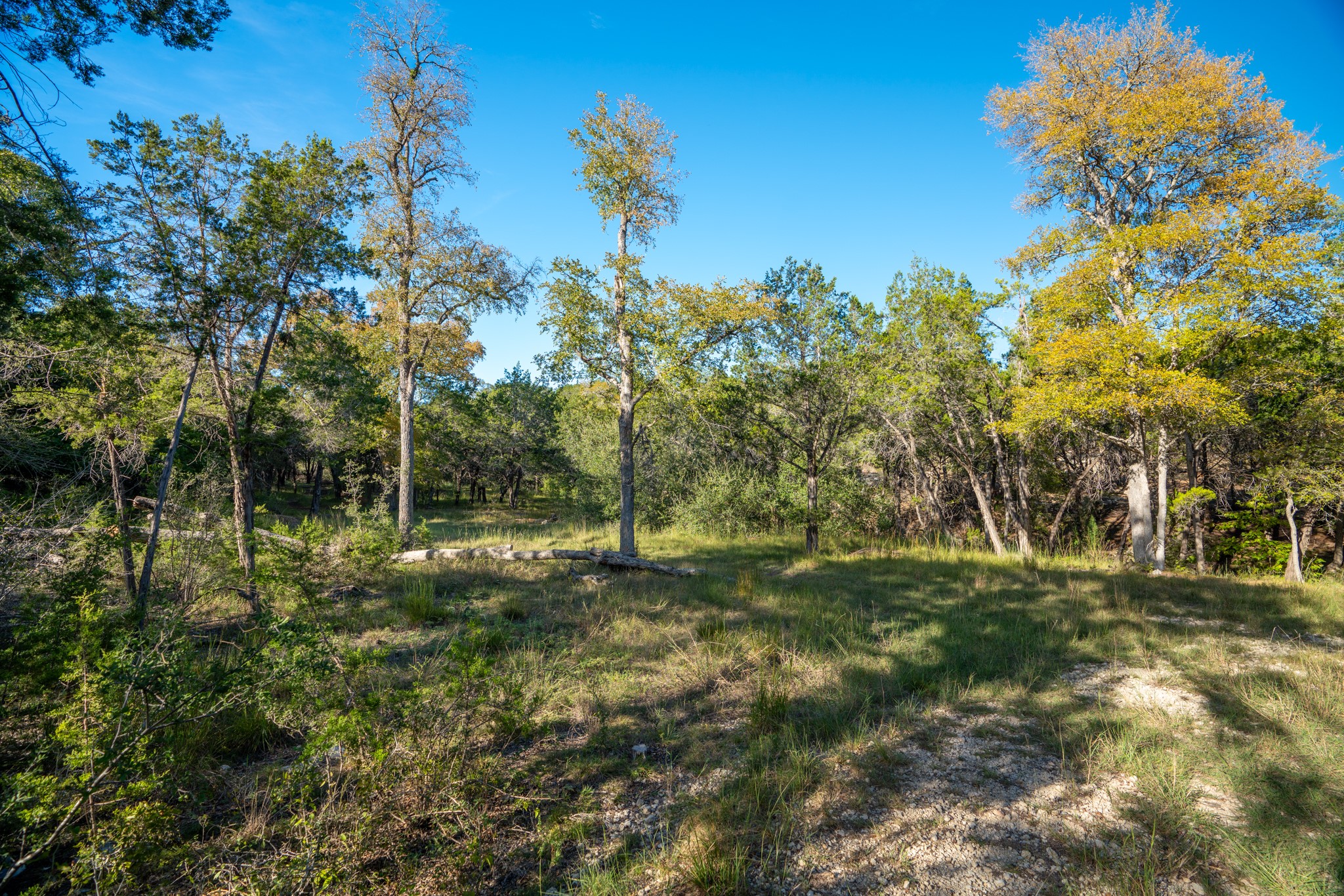 12737 Silver Creek Road Dripping Springs, TX 78620 - Photo 34 of 36 a big yard with lots of green space