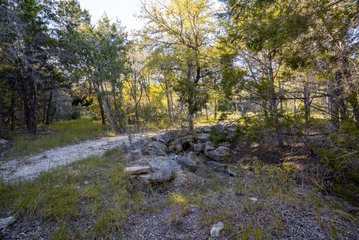 12737 Silver Creek Road Dripping Springs, TX 78620 - Photo 35 of 36 a view of a forest with trees