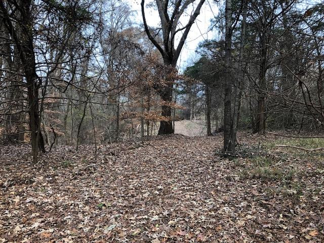 3164 Renshaw Road Yazoo City, MS 39194 - Photo 1 of 40 Photo 1