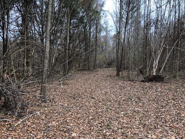 3164 Renshaw Road Yazoo City, MS 39194 - Photo 11 of 40 Photo 11