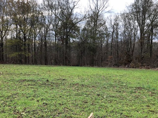 3164 Renshaw Road Yazoo City, MS 39194 - Photo 14 of 40 Photo 14