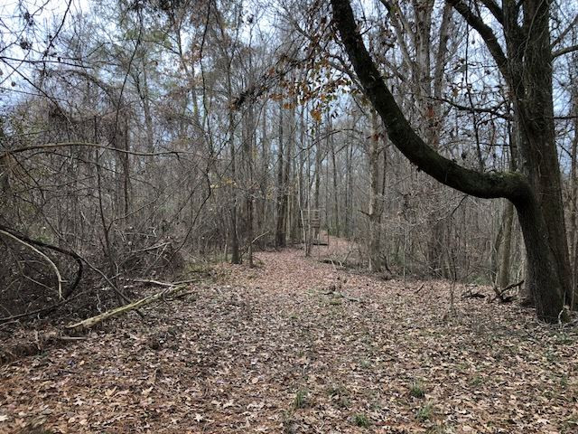 3164 Renshaw Road Yazoo City, MS 39194 - Photo 15 of 40 Photo 15