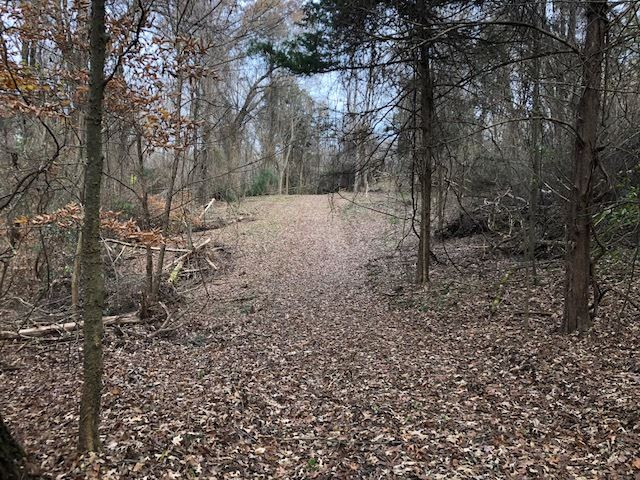 3164 Renshaw Road Yazoo City, MS 39194 - Photo 2 of 40 Photo 2