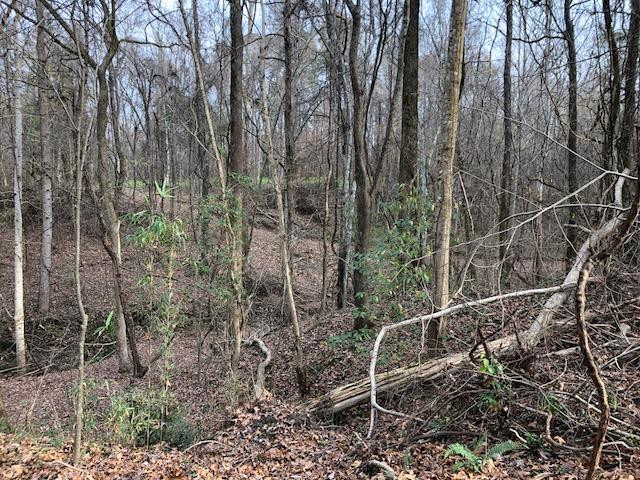 3164 Renshaw Road Yazoo City, MS 39194 - Photo 21 of 40 Photo 21