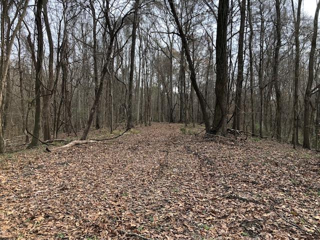 3164 Renshaw Road Yazoo City, MS 39194 - Photo 22 of 40 Photo 22