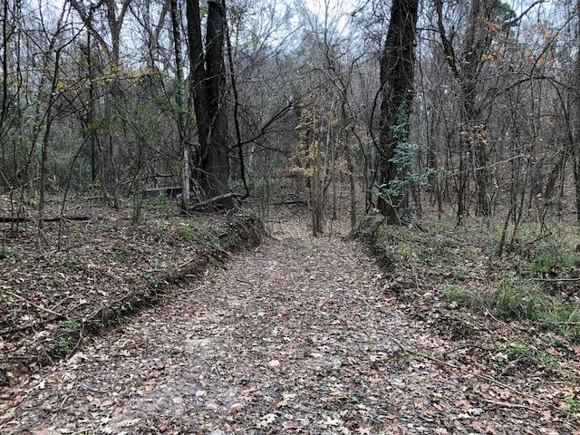 3164 Renshaw Road Yazoo City, MS 39194 - Photo 25 of 40 Photo 25