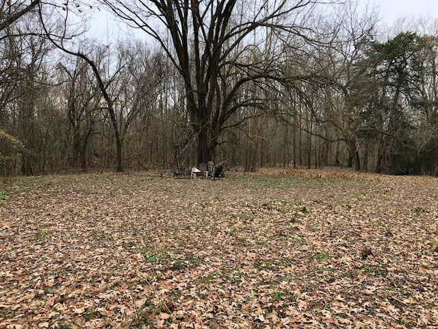3164 Renshaw Road Yazoo City, MS 39194 - Photo 26 of 40 Photo 26