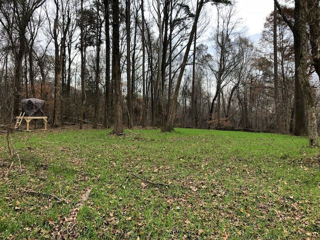 3164 Renshaw Road Yazoo City, MS 39194 - Photo 28 of 40 Photo 28