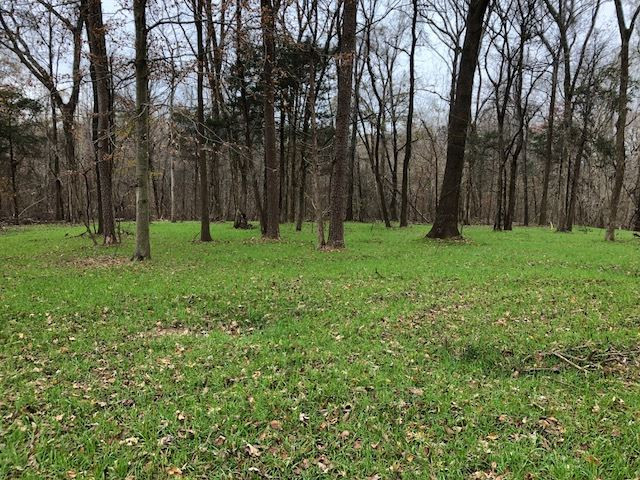 3164 Renshaw Road Yazoo City, MS 39194 - Photo 29 of 40 Photo 29